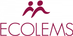 logo-ecolems-violet-toupie-mu-business